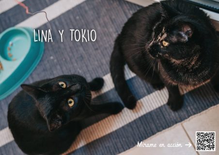 Lina y Tokio