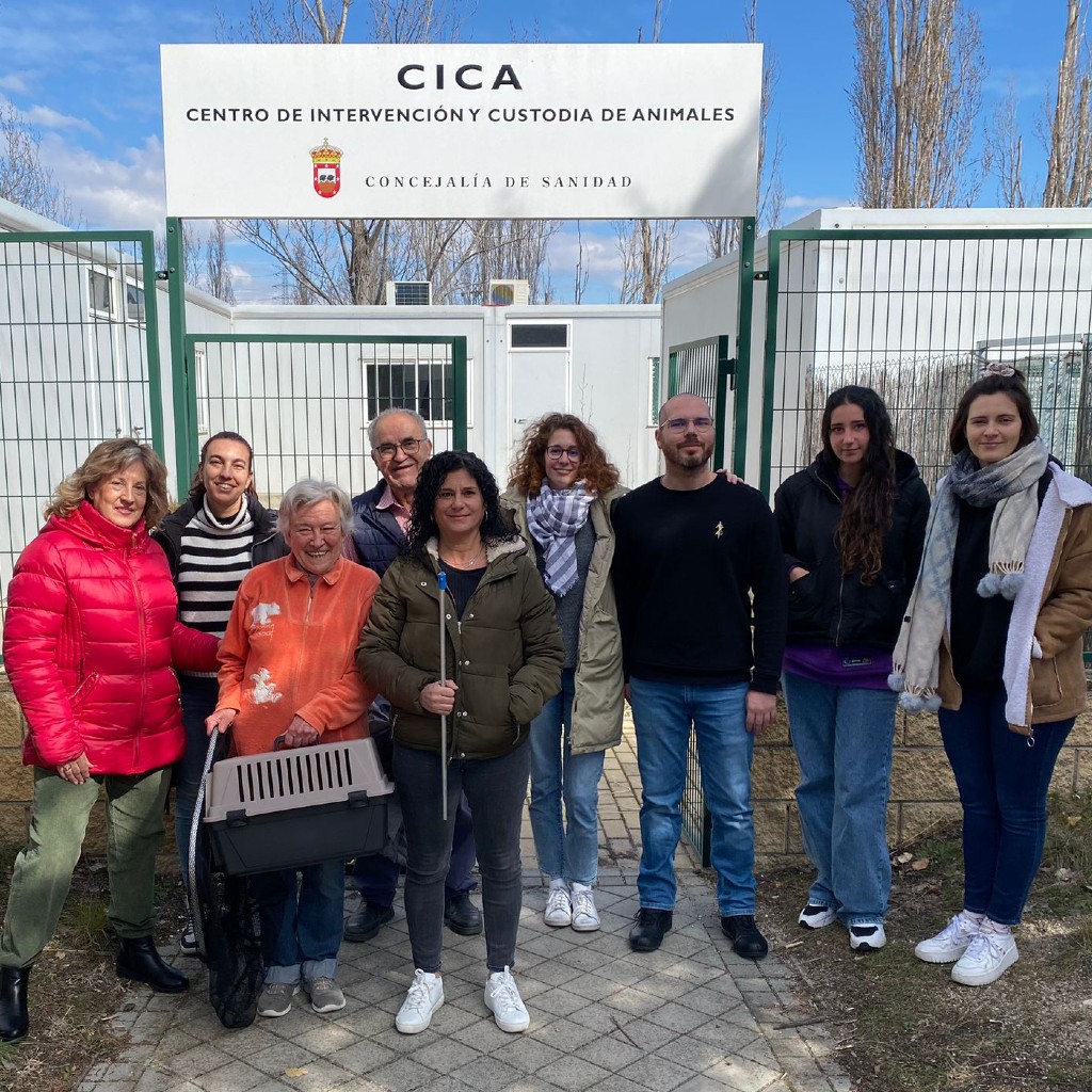 Felinos 3 Cantos sigue creciendo