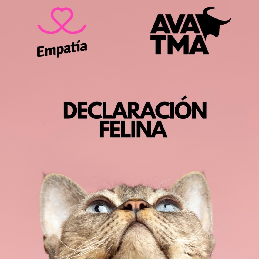 Declaración felina