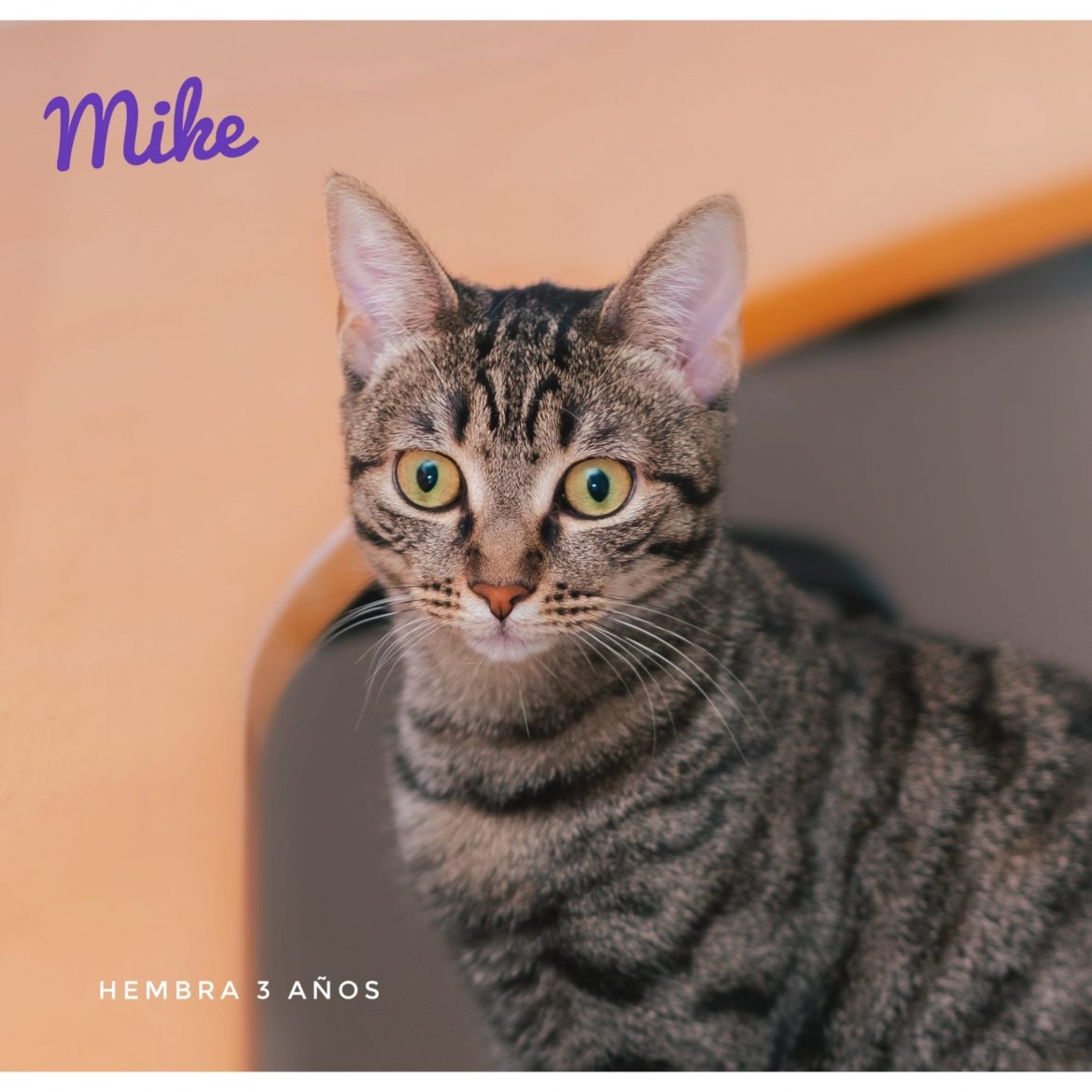 Mike