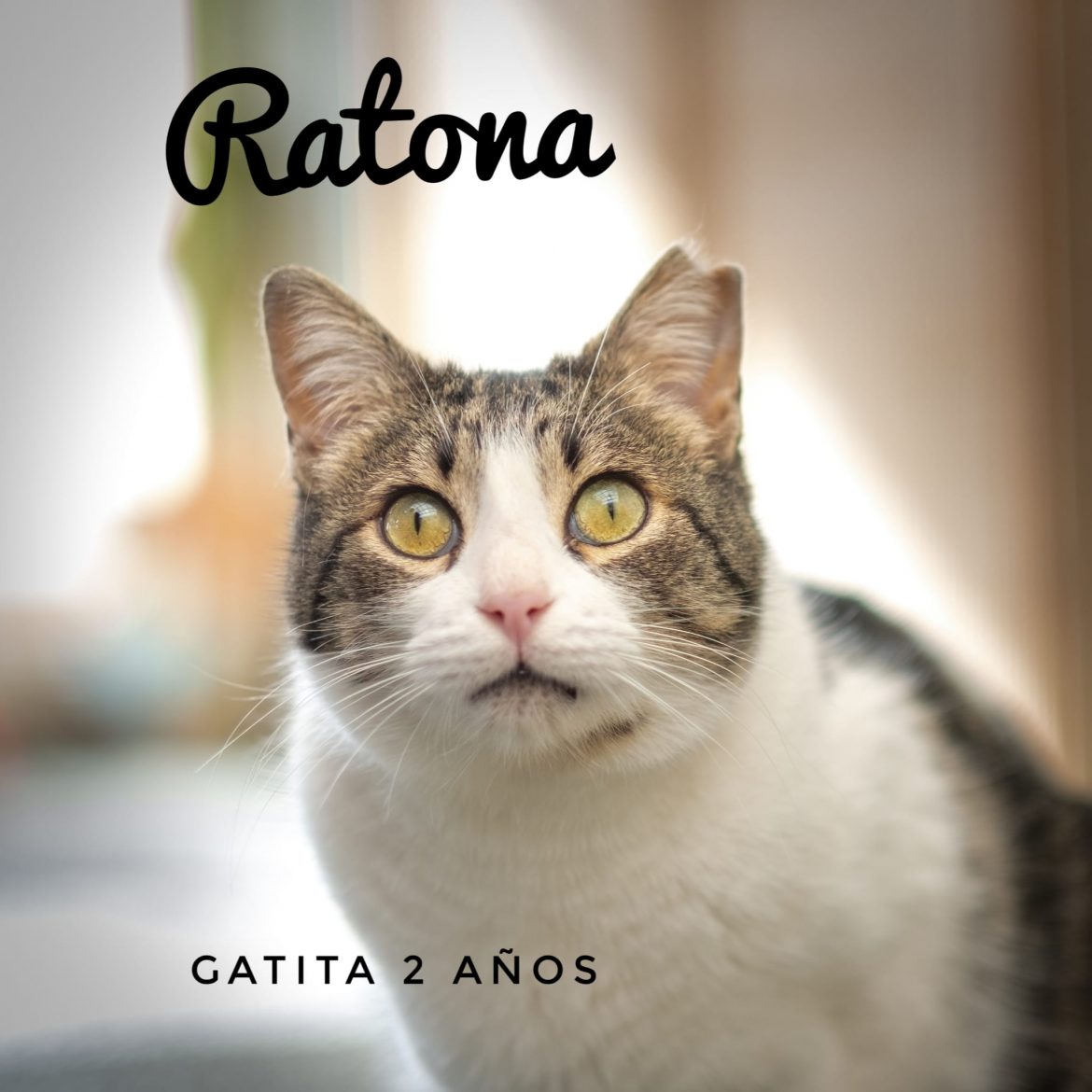 Ratona