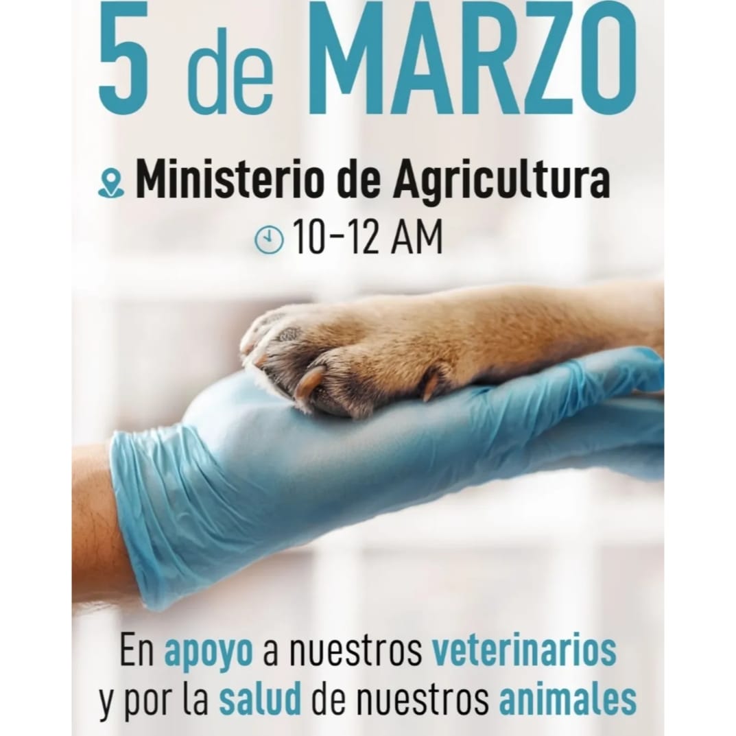 No a la ley 666/2023