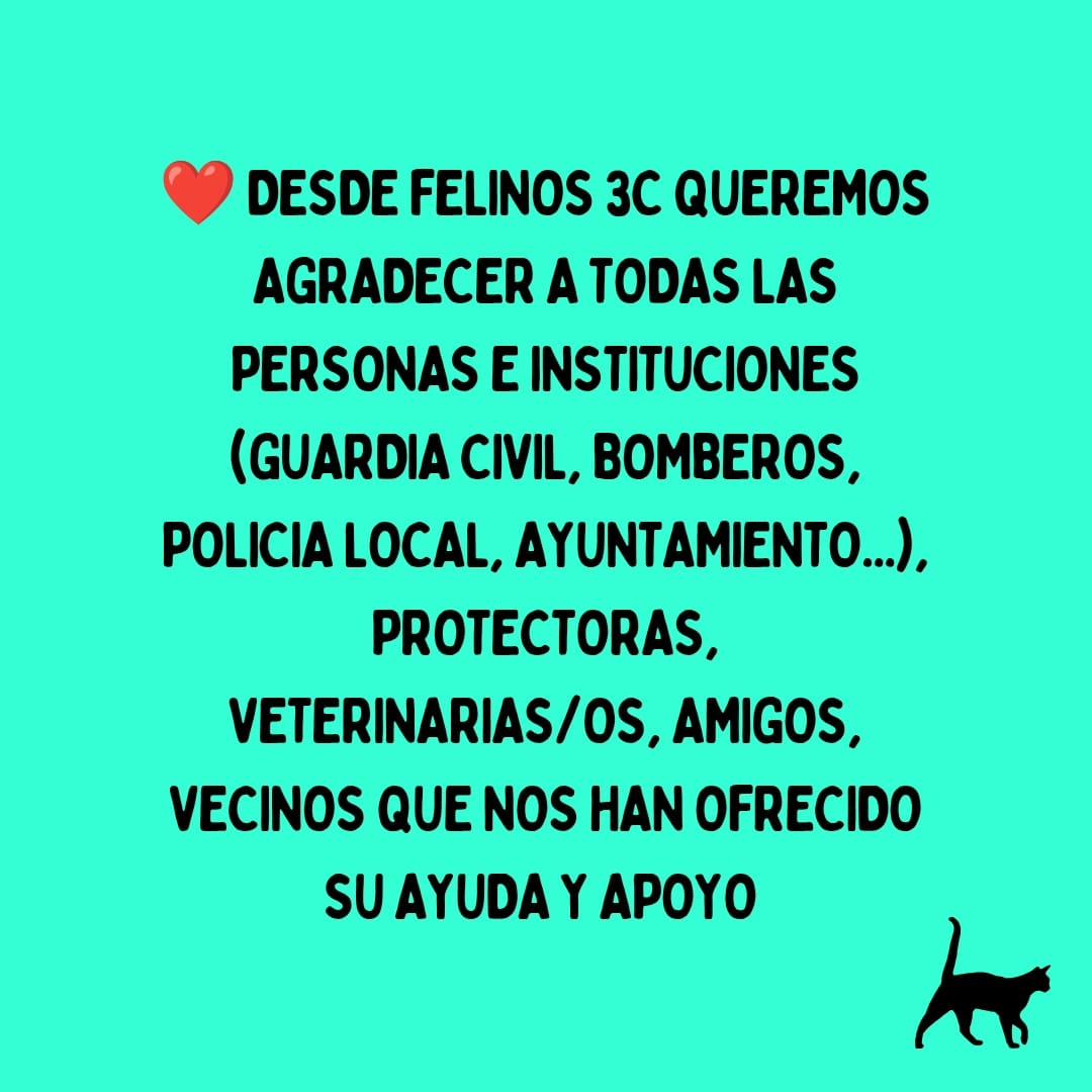 ¡Gracias, gracias y gracias!