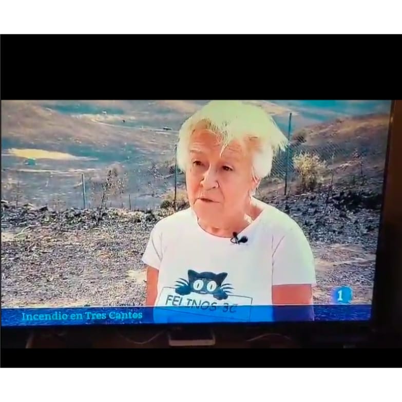 ¡Protocolo ya, para saber como actuar en catástrofes!